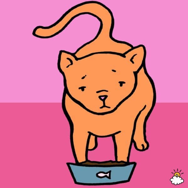 17bf68c2943b696c989df58061f01cce