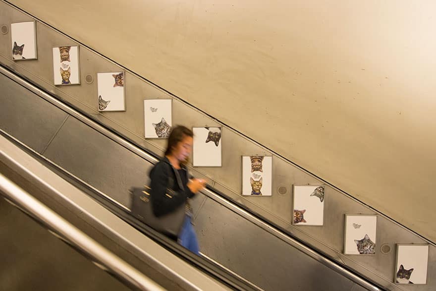 cat-ads-underground-subway-metro-london-9