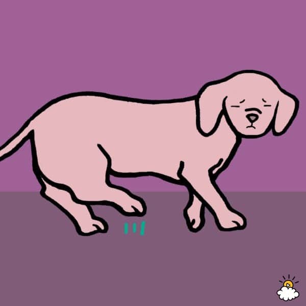 3fa0a756a66587e550fde575e8371b11