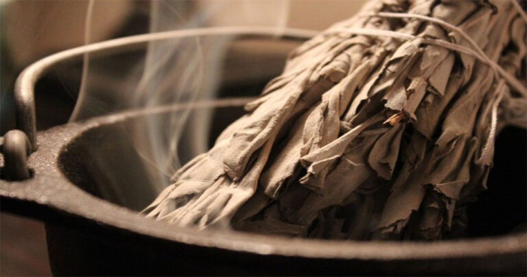 Πώς το φασκόμηλο μπορεί να καθαρίσει τον αέρα από τα βακτήρια;