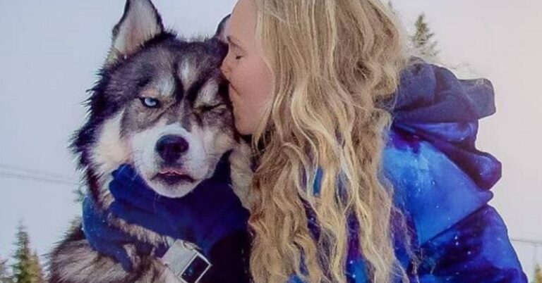 Έσωσε ένα χάσκι και χρόνια αργότερα αυτό την έσωσε από μια σχέση που έπεσε θύμα κακοποίησης.