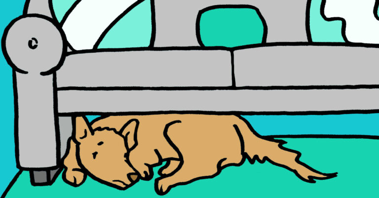 10 εύκολα αναγνωρίσιμα σημάδια ότι ο σκύλος ή η γάτα σας χρειάζεται βοήθεια.