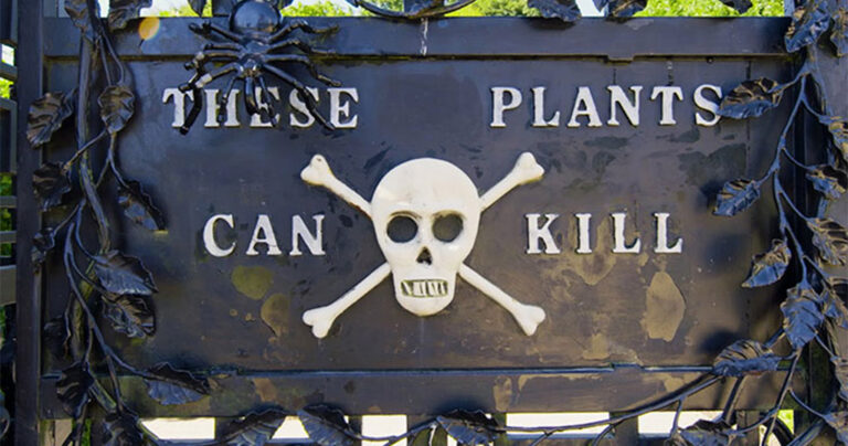 Αυτός είναι ο πιο θανατηφόρος κήπος στον κόσμο