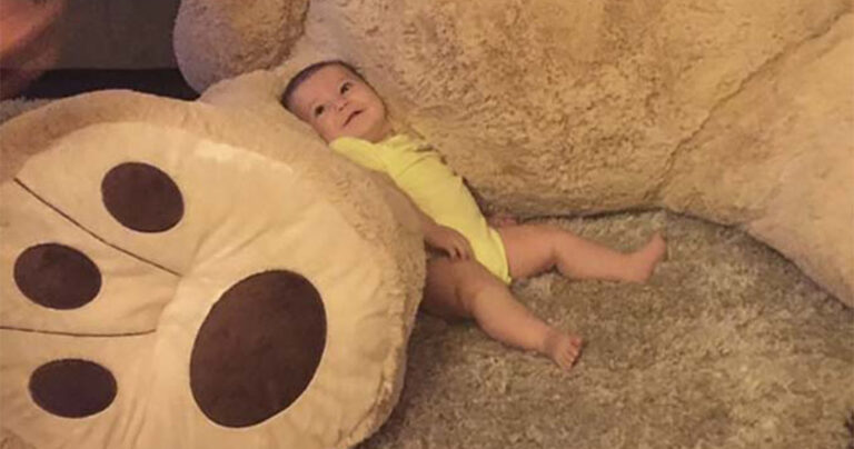 Παππούς πήρε στην εγγονή του ένα υπερβολικά γιγάντιο αρκουδάκι και το Internet τρελάθηκε