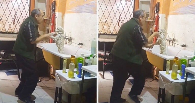 Η κάμερα έπιασε αυτόν τον κομμωτή σκύλων να χορεύει με ένα σκυλάκι και θα σας κάνει να λιώσετε