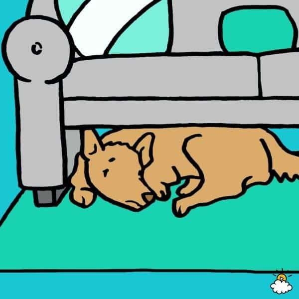 85df7a61c0d1351da2521646bda66b52