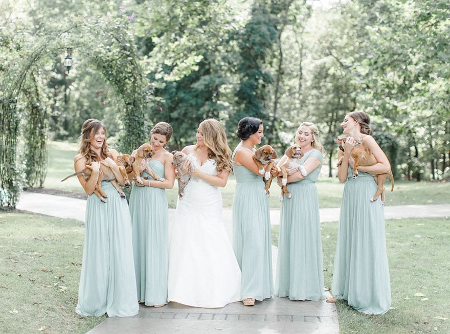 wedding-puppies-instead-flowers-pensylvannia-1