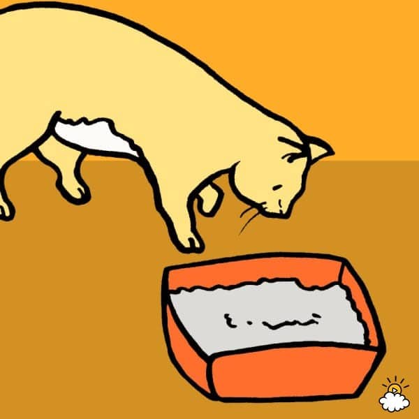 8a2386747fd98bcb26c74d1a234cd54a