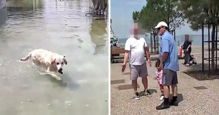 Σκύλος βουτάει σε συντριβάνι και ηλικιωμένοι περαστικοί βρίζουν τον ιδιοκτήτη του