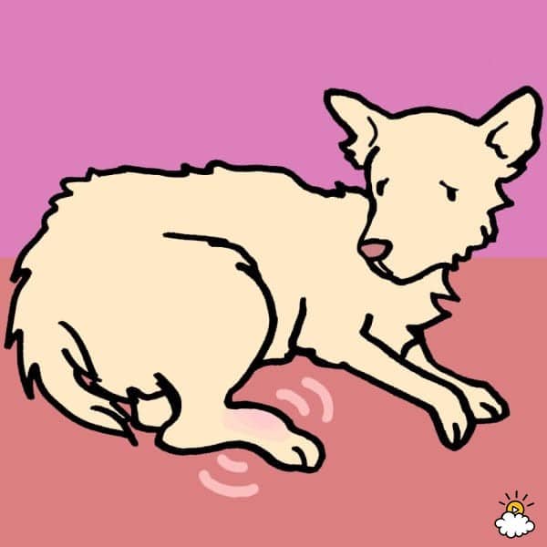 91e28ac38a110327e354c69f28a4c3d1