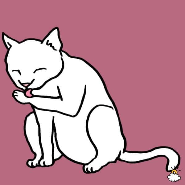 9709a58e2ed58d2919b7530a9051a2c4