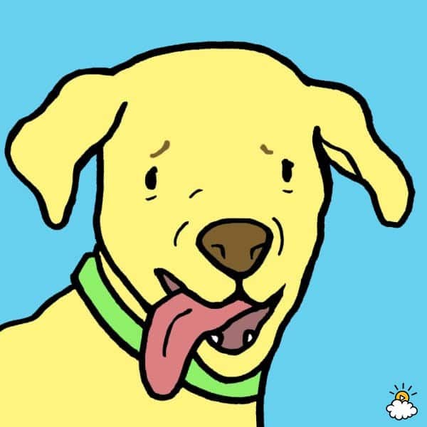 9a374a34fec07f0655c4a5b9e425b6eb