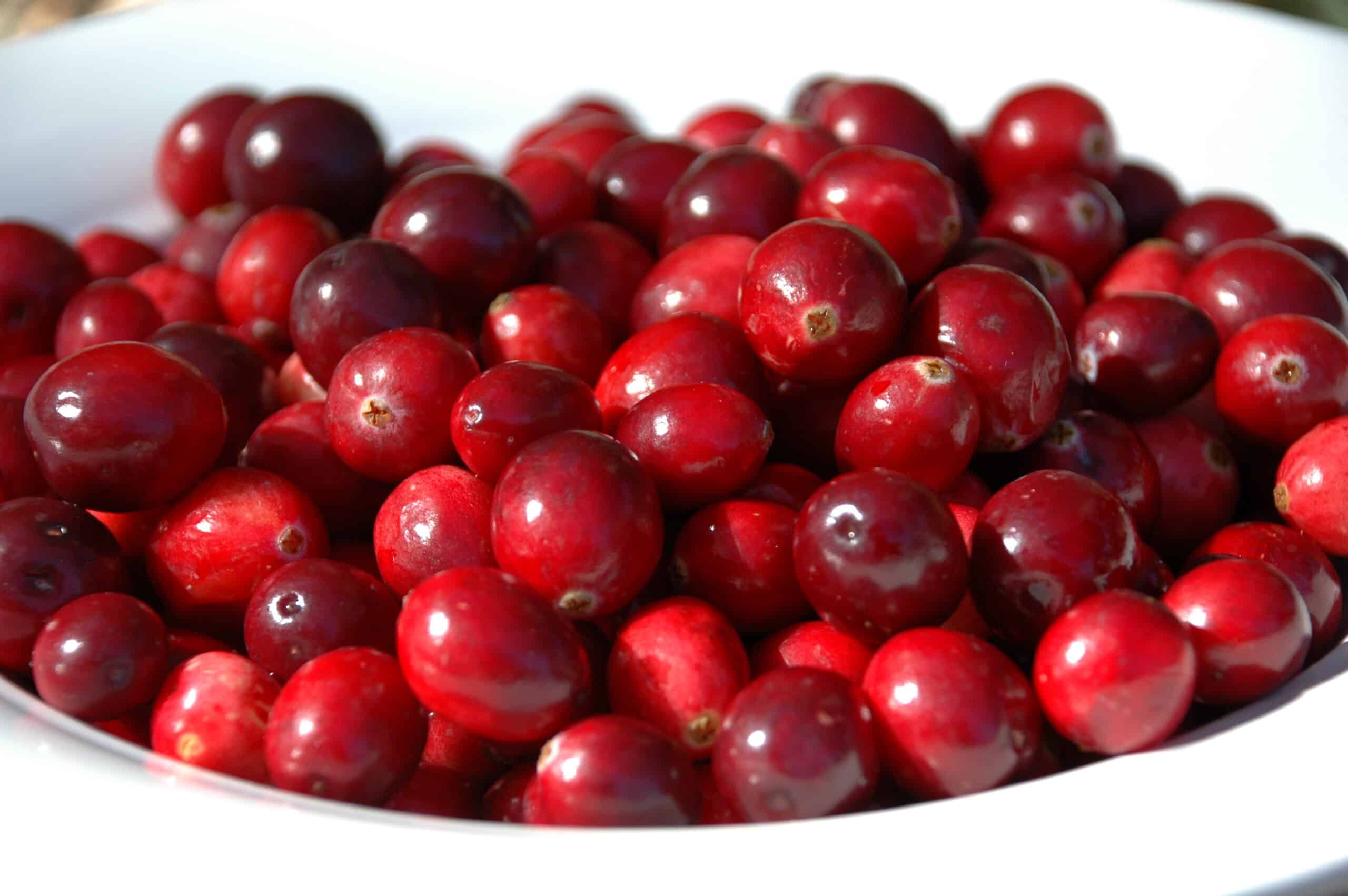 cranberries2