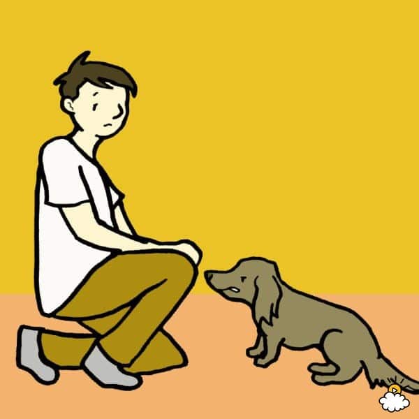 aa02c510d312a0456880cb50f395d5a1