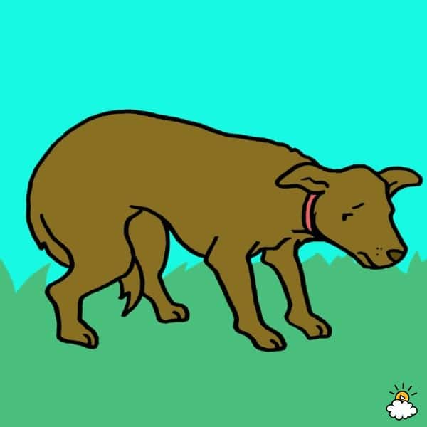 b47d8e7ad9642ddd5a00d9490add22f4