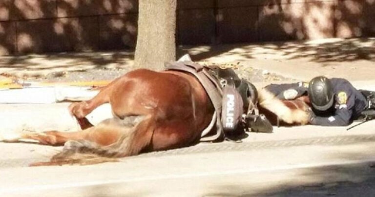 Ο σπαρακτικός αποχαιρετισμός ενός αστυνομικού στο άλογο του την ώρα που ξεψυχούσε.