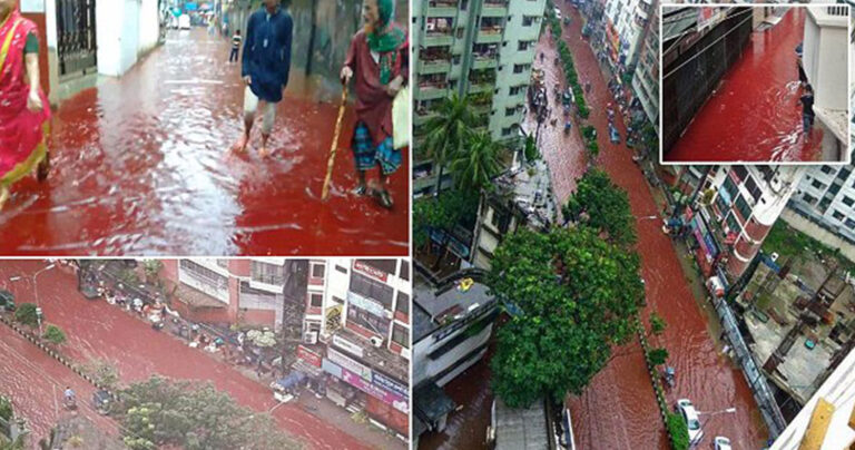 Ποτάμια αίματος ζώων στους δρόμους της Ντάκα του Μπανγκλαντές μετά από φεστιβάλ.