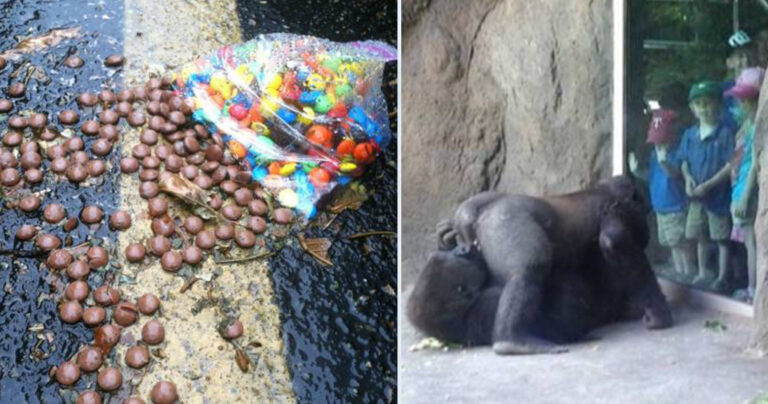 40 αξιοπερίεργες φωτογραφίες για να καλωσορίσουμε αυτή την εβδομάδα με ψυχραιμία.