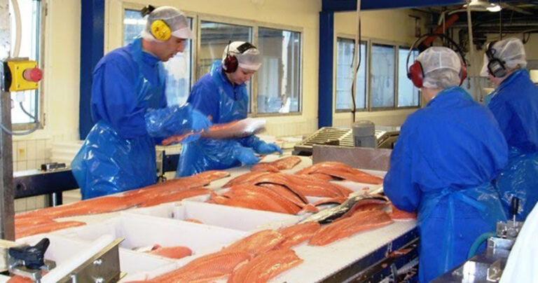 O σολομός ιχθυοτροφείου είναι η πιο τοξική τροφή στον πλανήτη