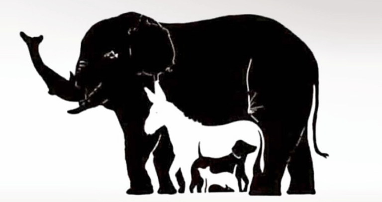 Πόσα ζώα μπορείτε να εντοπίσετε σε αυτήν την φωτογραφία;