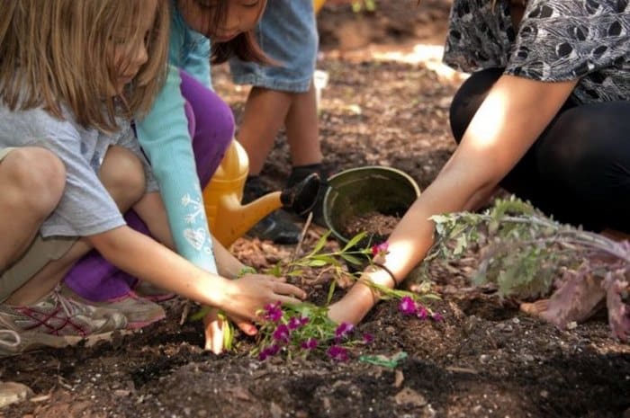 Δημιούργησαν νηπιαγωγείο -φάρμα που τα παιδιά μαθαίνουν μέσω της καλλιέργειας και της επαφής με τη φύση!