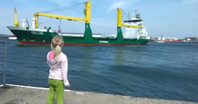 Μικρή κάνει πως κορνάρει σε πλοίο αλλά δεν περίμενε αυτό που ακολούθησε