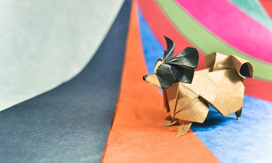 origami-gonzalo-garcia-calvo-142-57fb56aaa40d8__880
