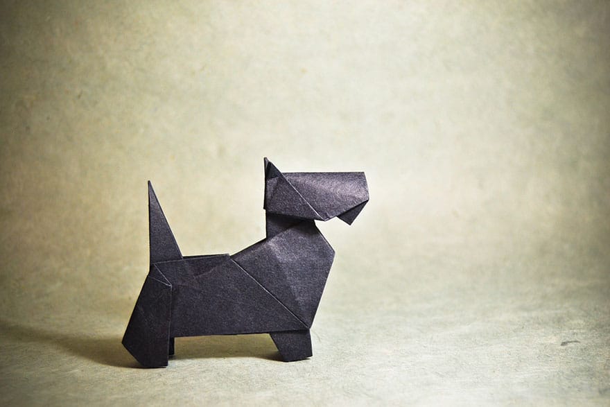 origami-gonzalo-garcia-calvo-45-57fb55f3e5612__880