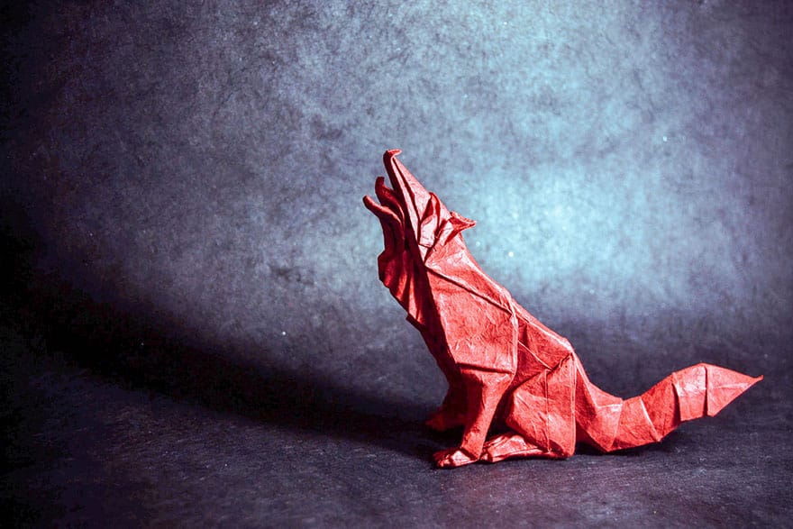 origami-gonzalo-garcia-calvo-130-57fb5695a9a84__880