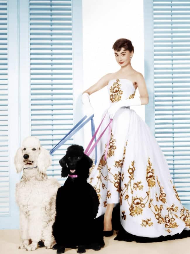 audrey-hepburn