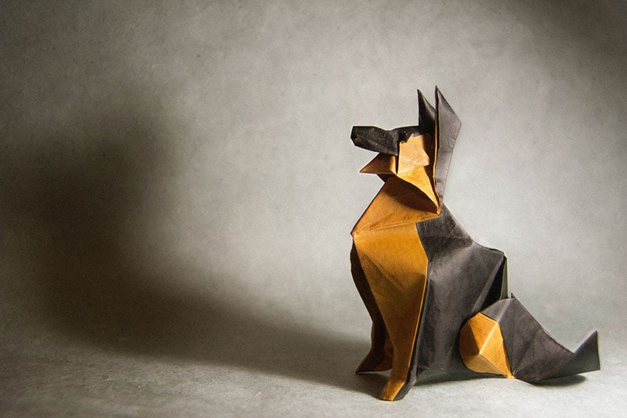 origami-gonzalo-garcia-calvo-56-57fb560c54335__880