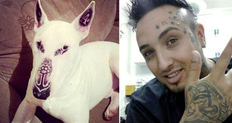 Έκανε στο σκύλο του πέντε τατουάζ και προκάλεσε παγκόσμια θύελλα αντιδράσεων.