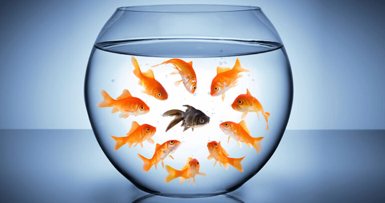 Στον ρατσισμό κρύβεται ο φόβος.