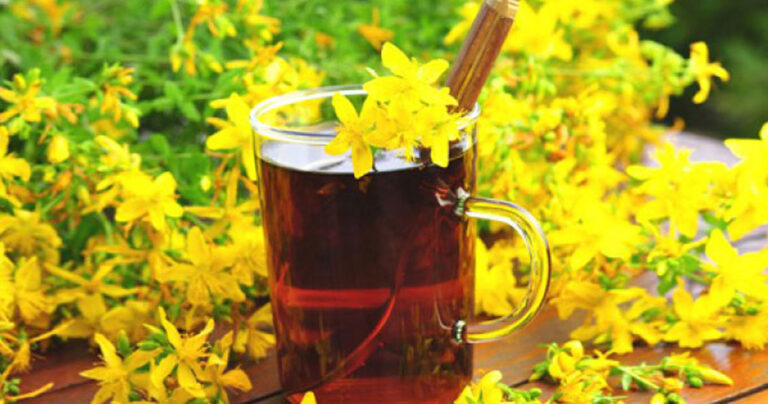 Το Σπαθόλαδο είναι ένα φυσικό φάρμακο με πολλαπλές ιδιότητες.