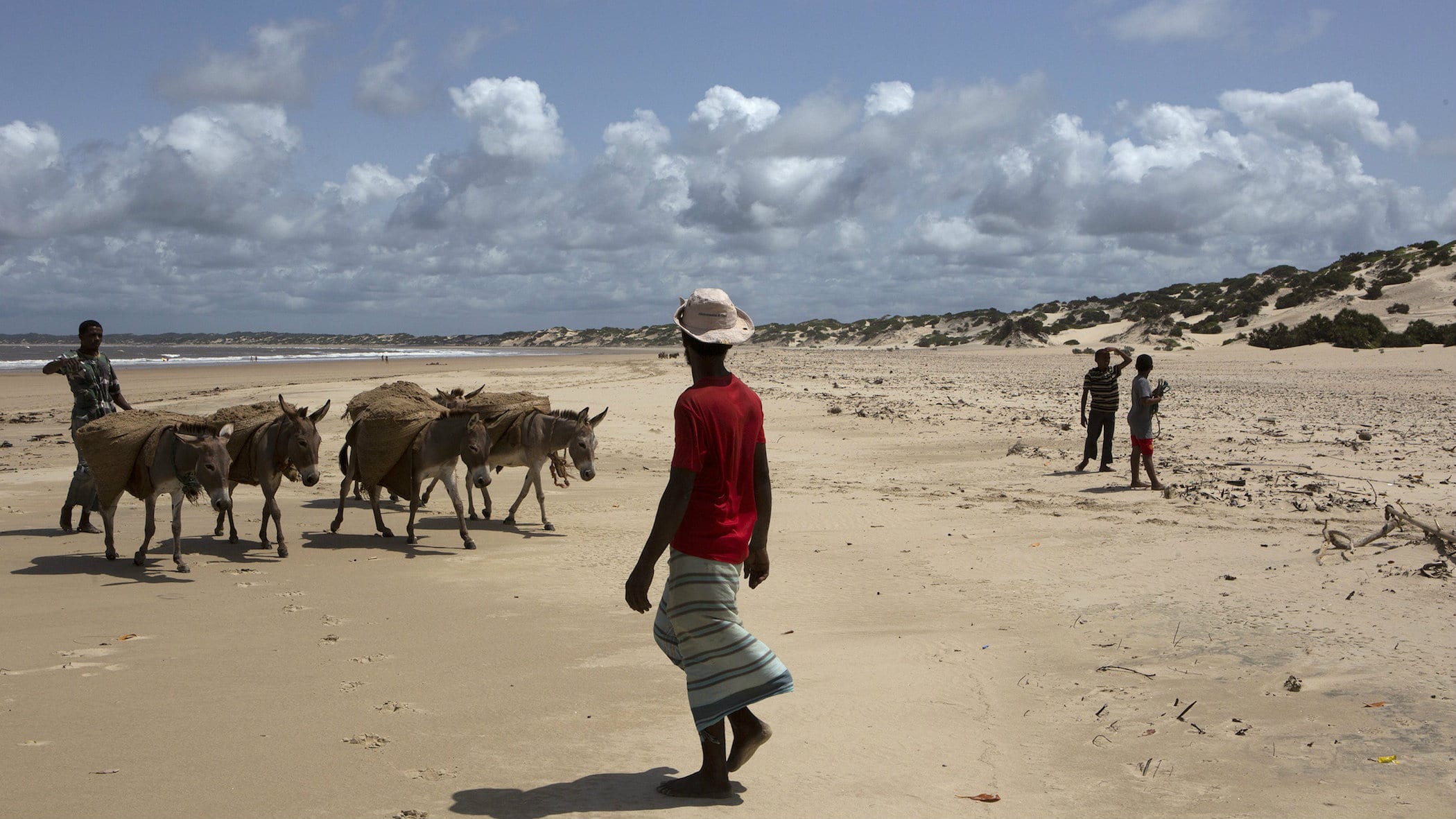 men-lead-donkeys-carrying-sand-to-be-used-to-mix-building-cement-on-the-beach-of-shela-in-lamu