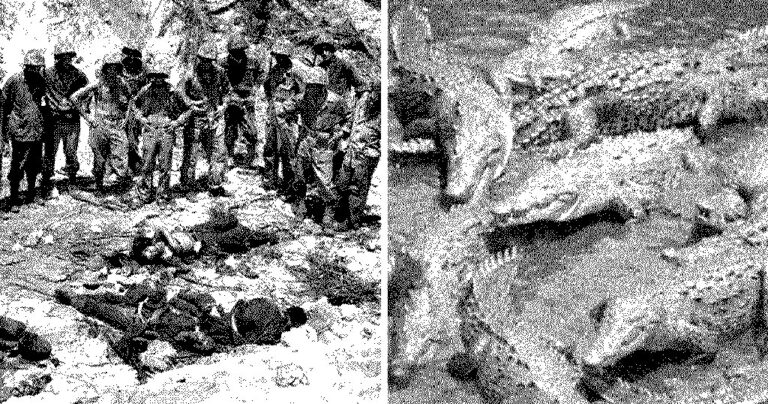 Κατά τον Β΄Π.Π χίλιοι περίπου Ιάπωνες στρατιώτες είχαν αφανιστεί από κροκόδειλους
