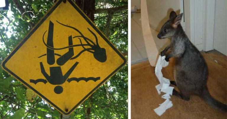 12 φωτογραφίες από πράγματα που βλέπει κανείς μόνο στην Αυστραλία