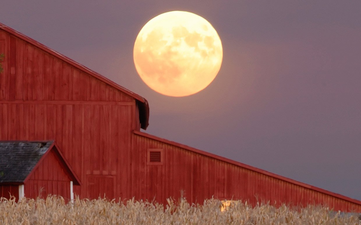 harvest-moon_0