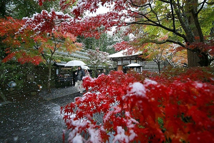 tokyo-first-snow-november-2016-31-58380c7b6db99__700