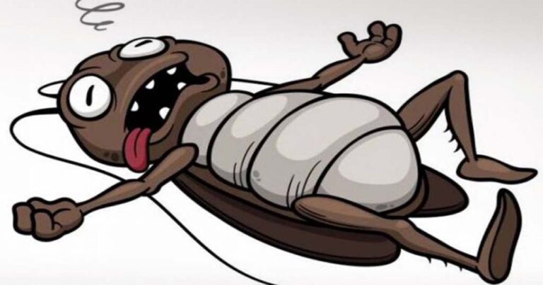 Με αυτούς τους τρόπους θα απαλλαγείτε μια και καλή από τις κατσαρίδες