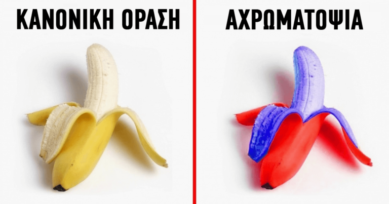 Έτσι βλέπουν οι άνθρωποι με αχρωματοψία τον κόσμο γύρω τους.