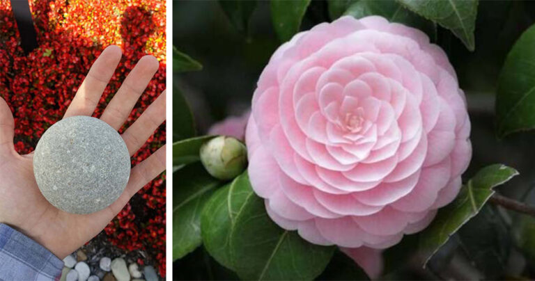 24 φωτογραφίες που θα ικανοποιήσουν τον τελειομανή που έχετε μέσα σας.