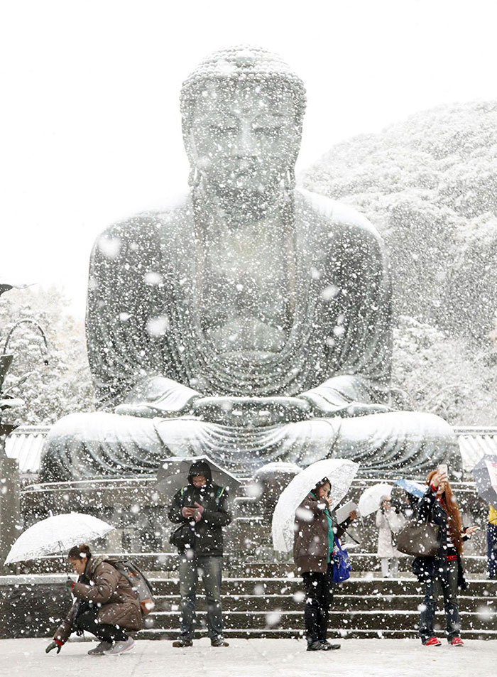 tokyo-first-snow-november-2016-25-5838090701e34__700