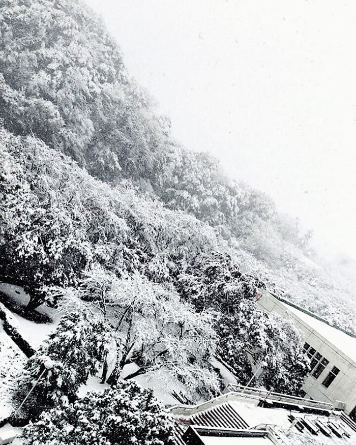 tokyo-first-snow-november-2016-13-583802e6728c1__700