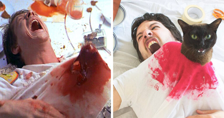 Άντρας αναπαριστά διάσημες σκηνές από ταινίες με τις γάτες του προκαλώντας άφθονο γέλιο.