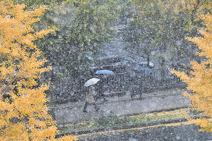 tokyo-first-snow-november-2016-29-58380b0241b96__700