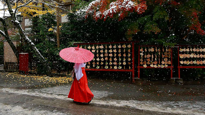 tokyo-first-snow-november-2016-19-5838068d0ded0__700