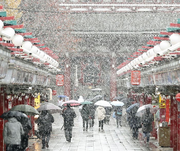 tokyo-first-snow-november-2016-27-58380a05750b7__700