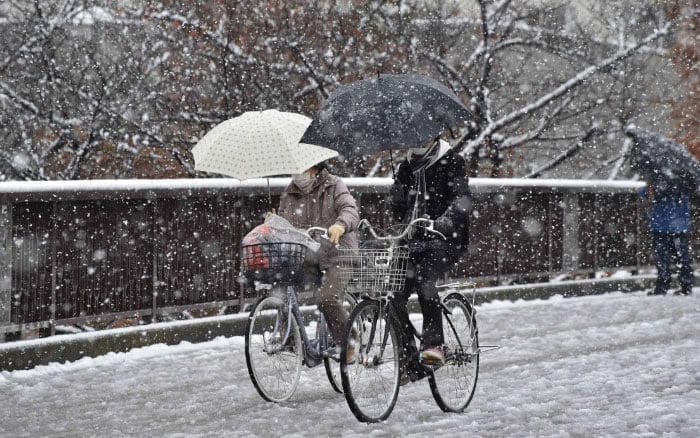 tokyo-first-snow-november-2016-14-583802e728fb9__700