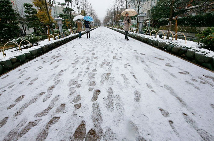 tokyo-first-snow-november-2016-20-5838071d30040__700